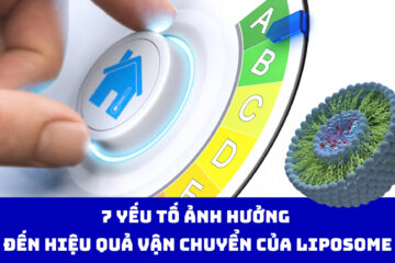 7 yếu tố ảnh hưởng đến hiệu quả vận chuyển của liposome